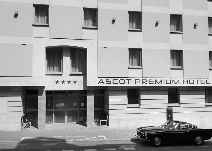Ascot Premium Krasków